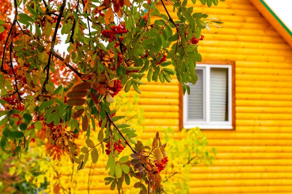 Garden Window Replacement in Texarkana